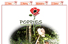 Poppies Painting Holidays